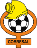 Club de Deportes Cobresal