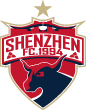 Shenzhen FC