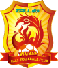 Wuhan Zall