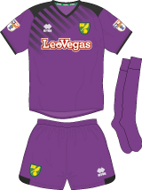 Shirt graphics by COF