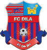 Dila Gori