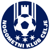 NK Celje Publikum