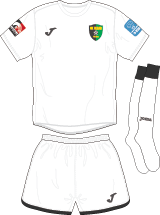 CoF Football Shirt Graphic