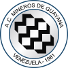 Mineros de Guayana