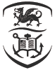 Swansea University