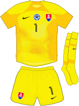 International Football Shirt Image